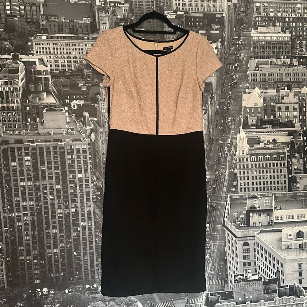Ann Taylor Black and Tan Midi Dress